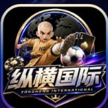 纵横国际